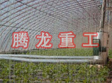 大棚花卉供暖設備、大棚卉采暖設備、大棚花卉取暖設備