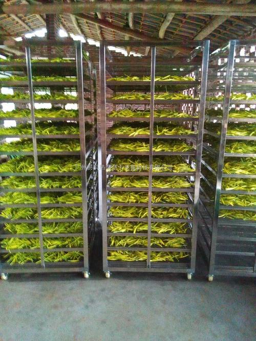 黃花菜烘干機、黃花菜烘干設備、黃花菜干燥機、黃花菜干燥設備、